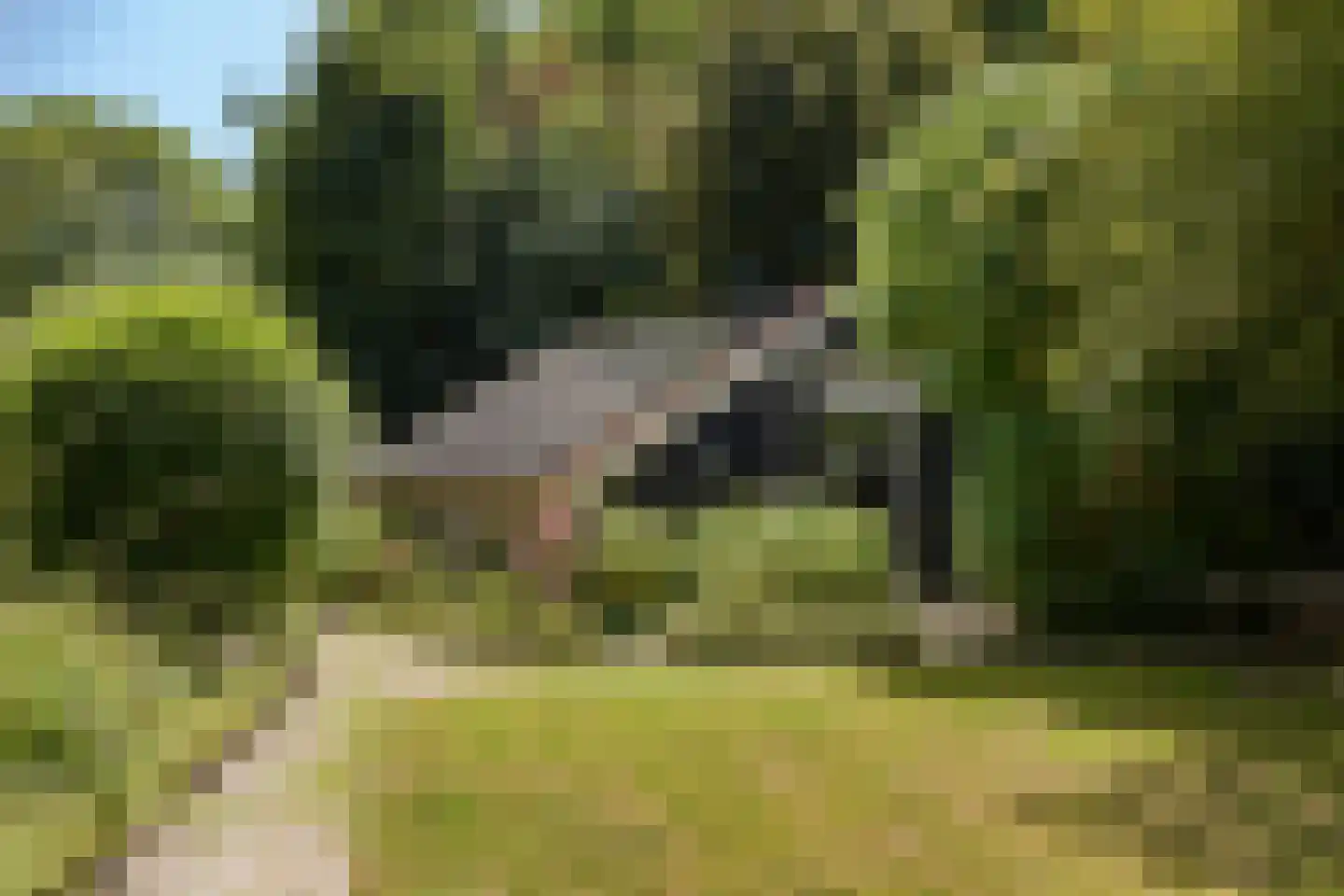 Dorpsstraat 32 Zwaag thumbnail 5