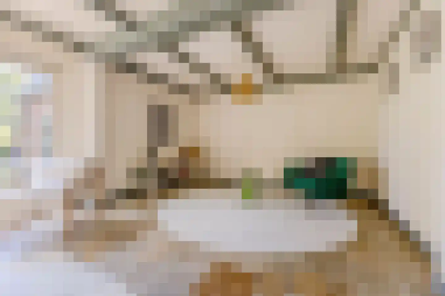 Dorpsstraat 322 Wormer thumbnail 10