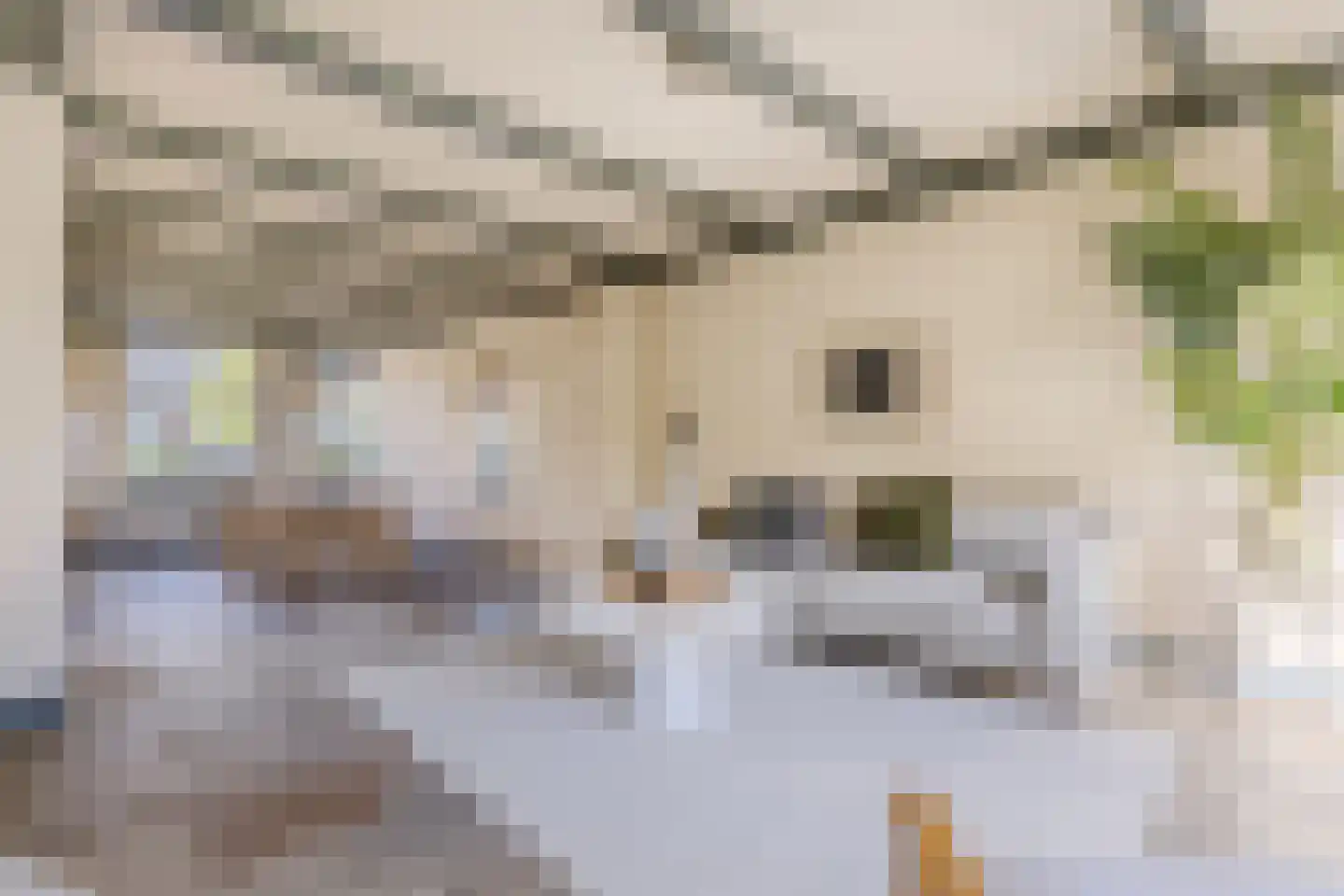Dorpsstraat 322 Wormer thumbnail 11