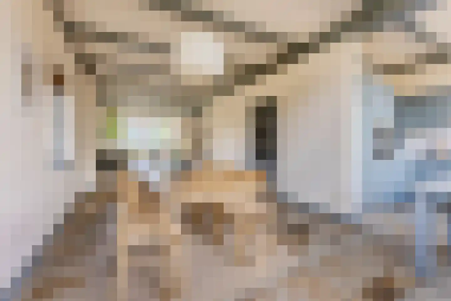 Dorpsstraat 322 Wormer thumbnail 12