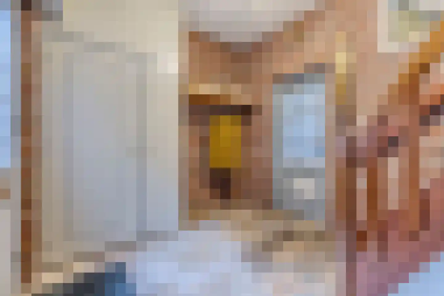 Dorpsstraat 322 Wormer thumbnail 16