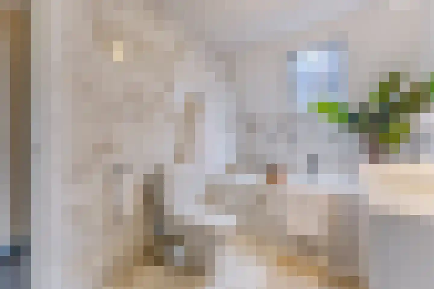 Dorpsstraat 322 Wormer thumbnail 21