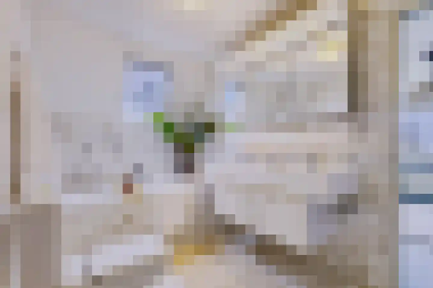 Dorpsstraat 322 Wormer thumbnail 22