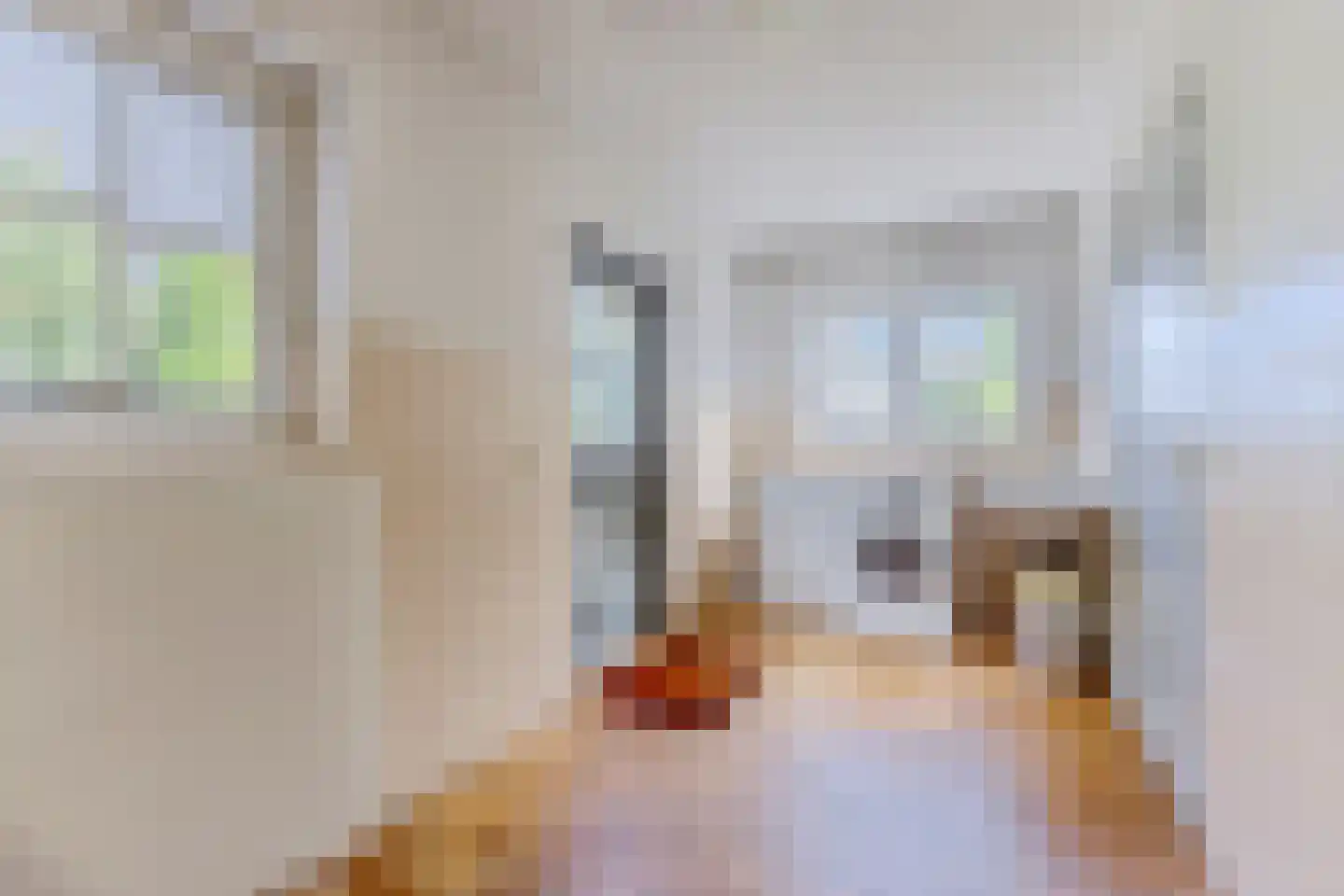 Dorpsstraat 322 Wormer thumbnail 39