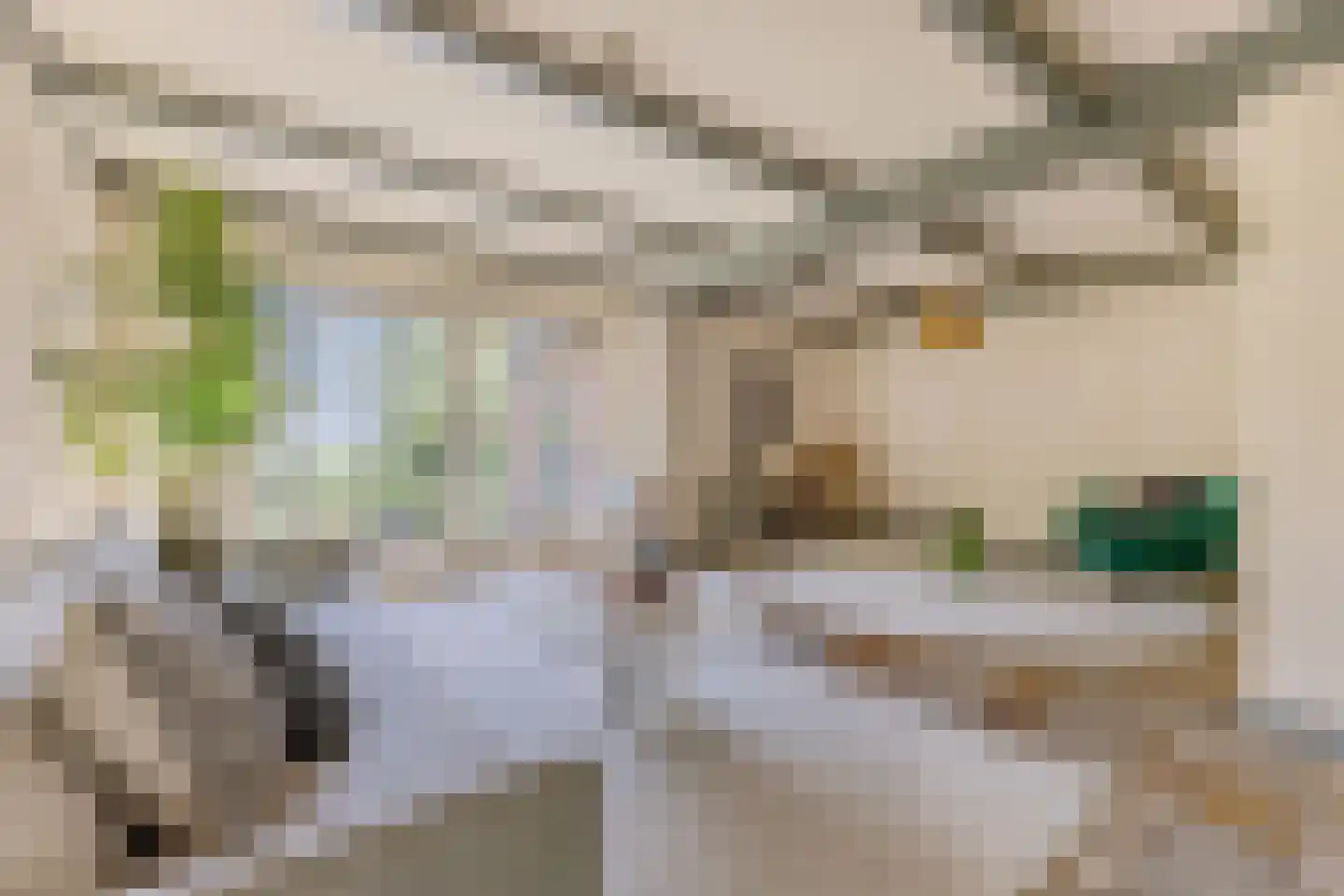 Dorpsstraat 322 Wormer thumbnail 4