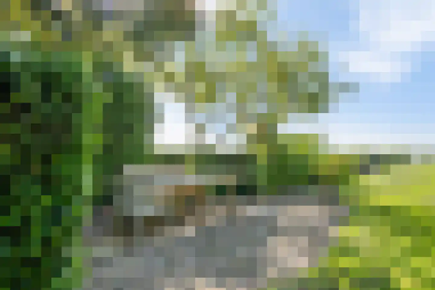 Dorpsstraat 322 Wormer thumbnail 44