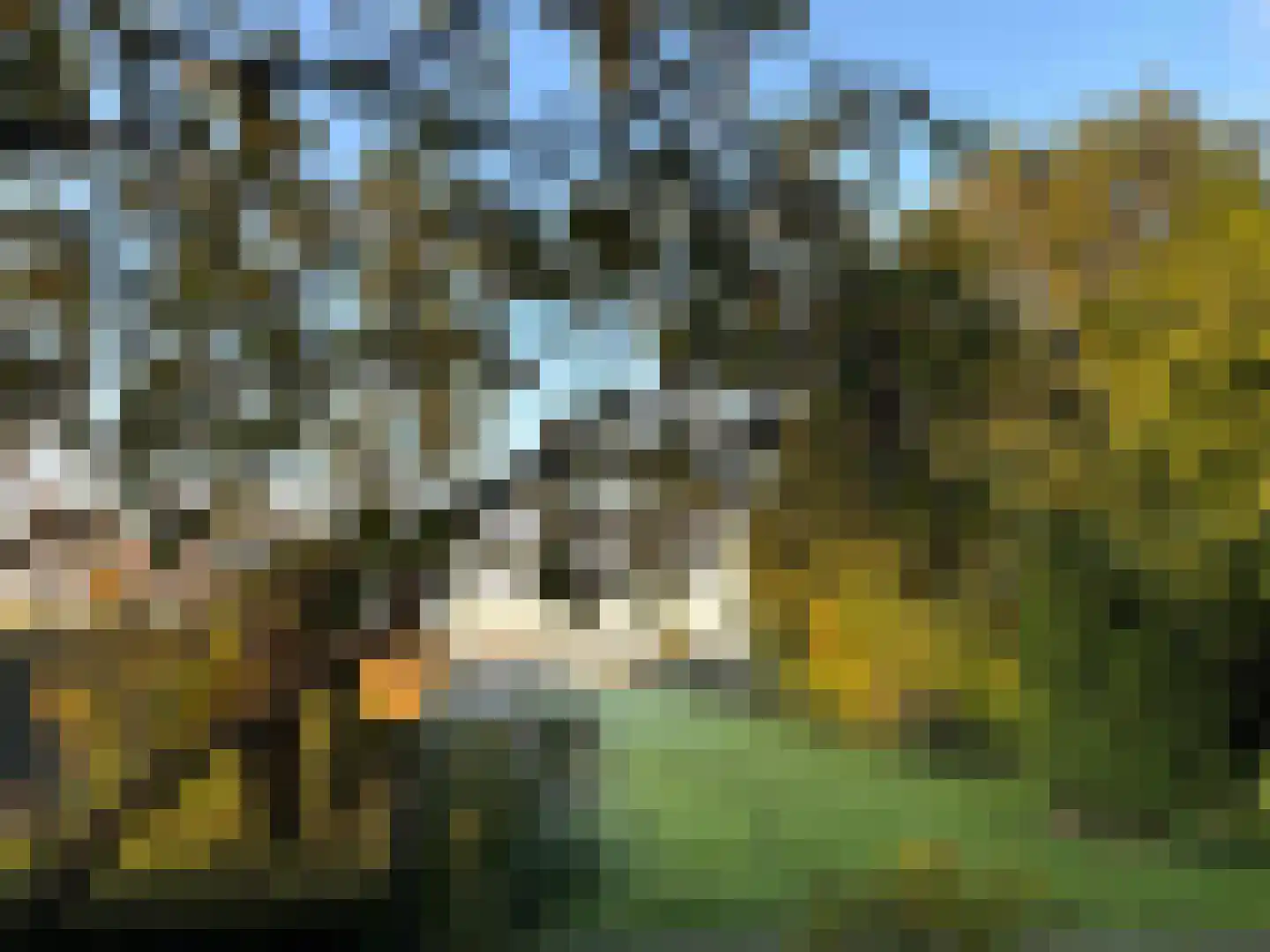 Dorpsstraat 322 Wormer thumbnail 56