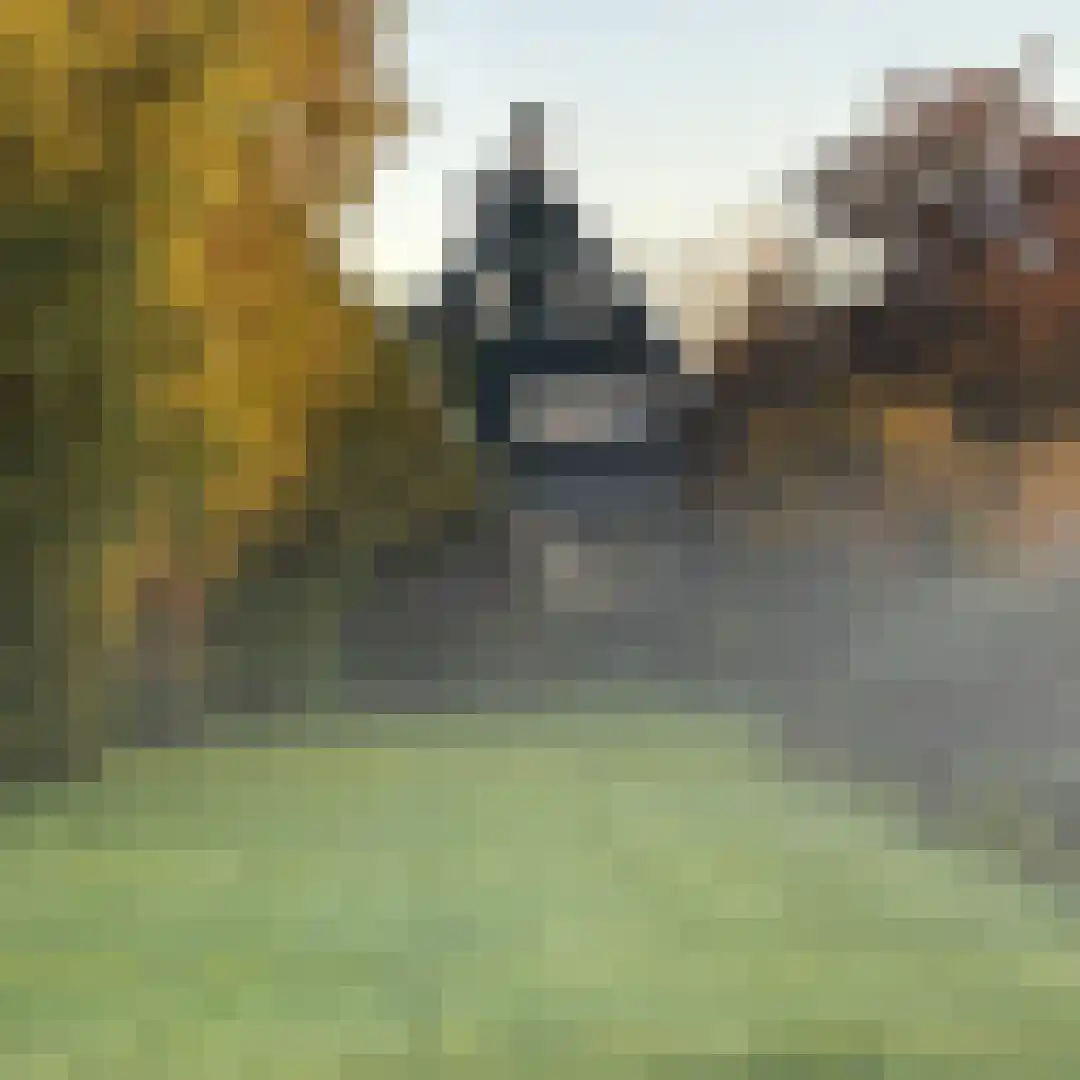 Dorpsstraat 322 Wormer thumbnail 59