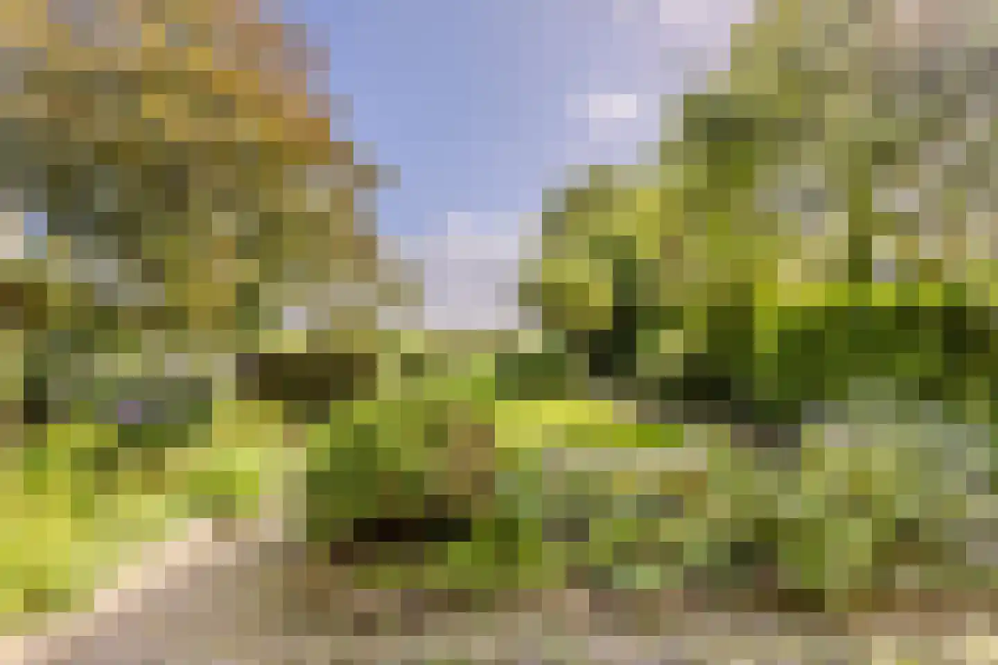 Dorpsstraat 322 Wormer thumbnail 6