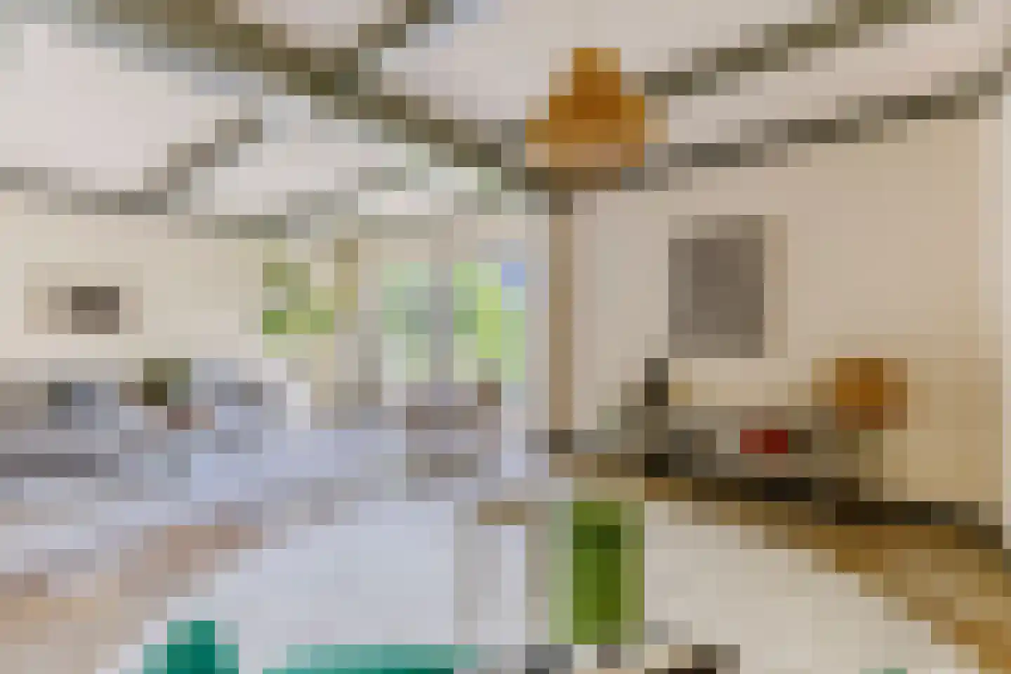 Dorpsstraat 322 Wormer thumbnail 9