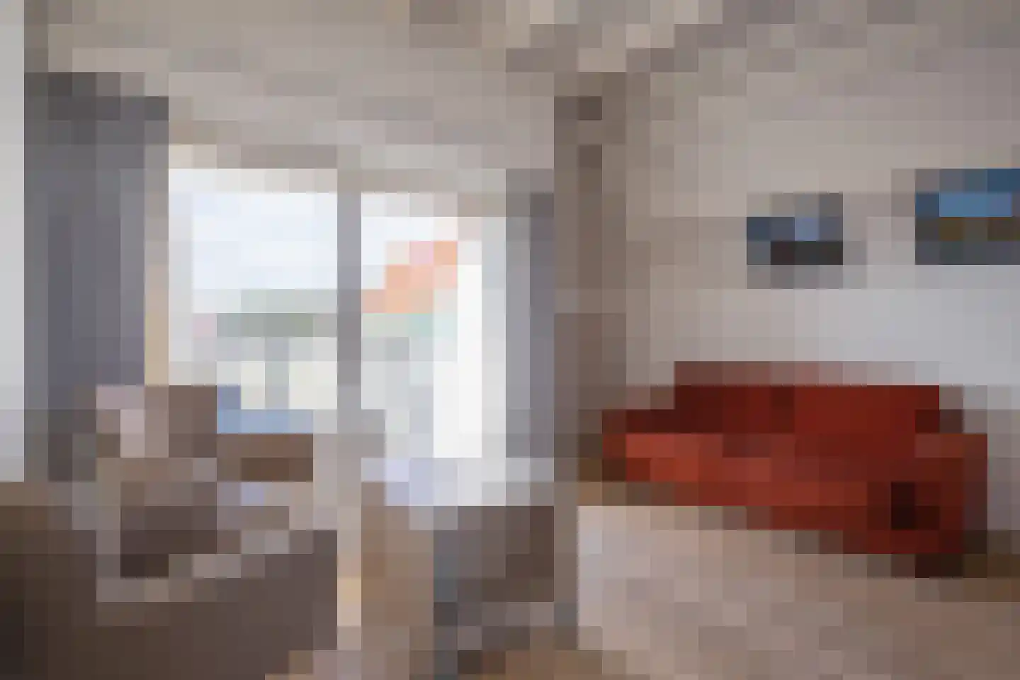Dorpsstraat 327 De Koog thumbnail 4