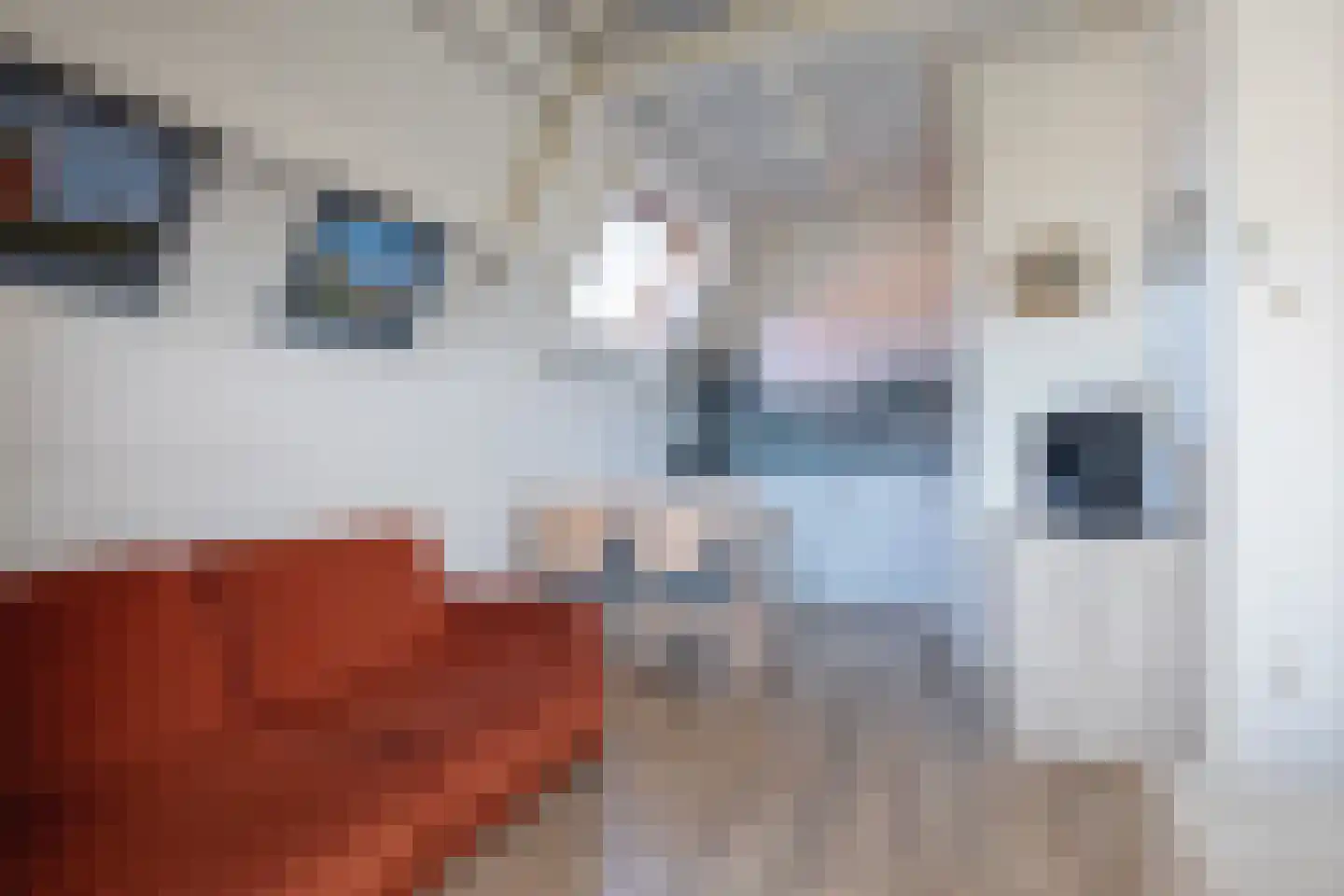 Dorpsstraat 327 De Koog thumbnail 5
