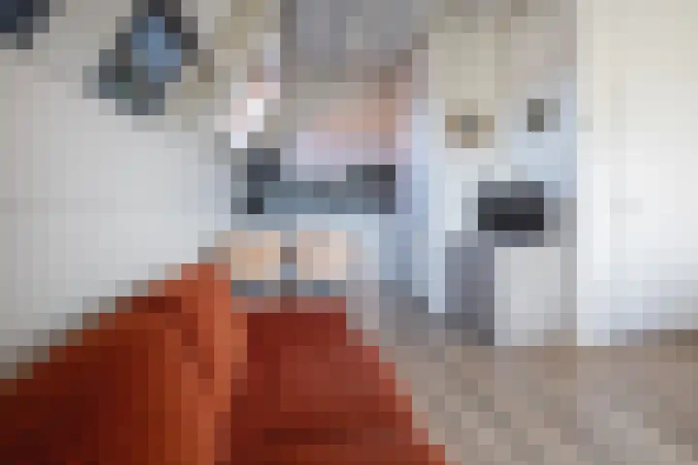 Dorpsstraat 327 De Koog thumbnail 6