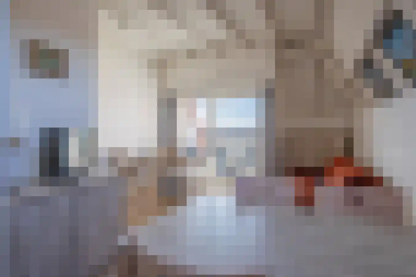 Dorpsstraat 327 De Koog thumbnail 7