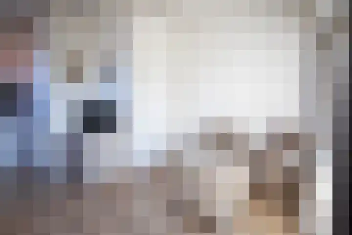 Dorpsstraat 327 De Koog thumbnail 8