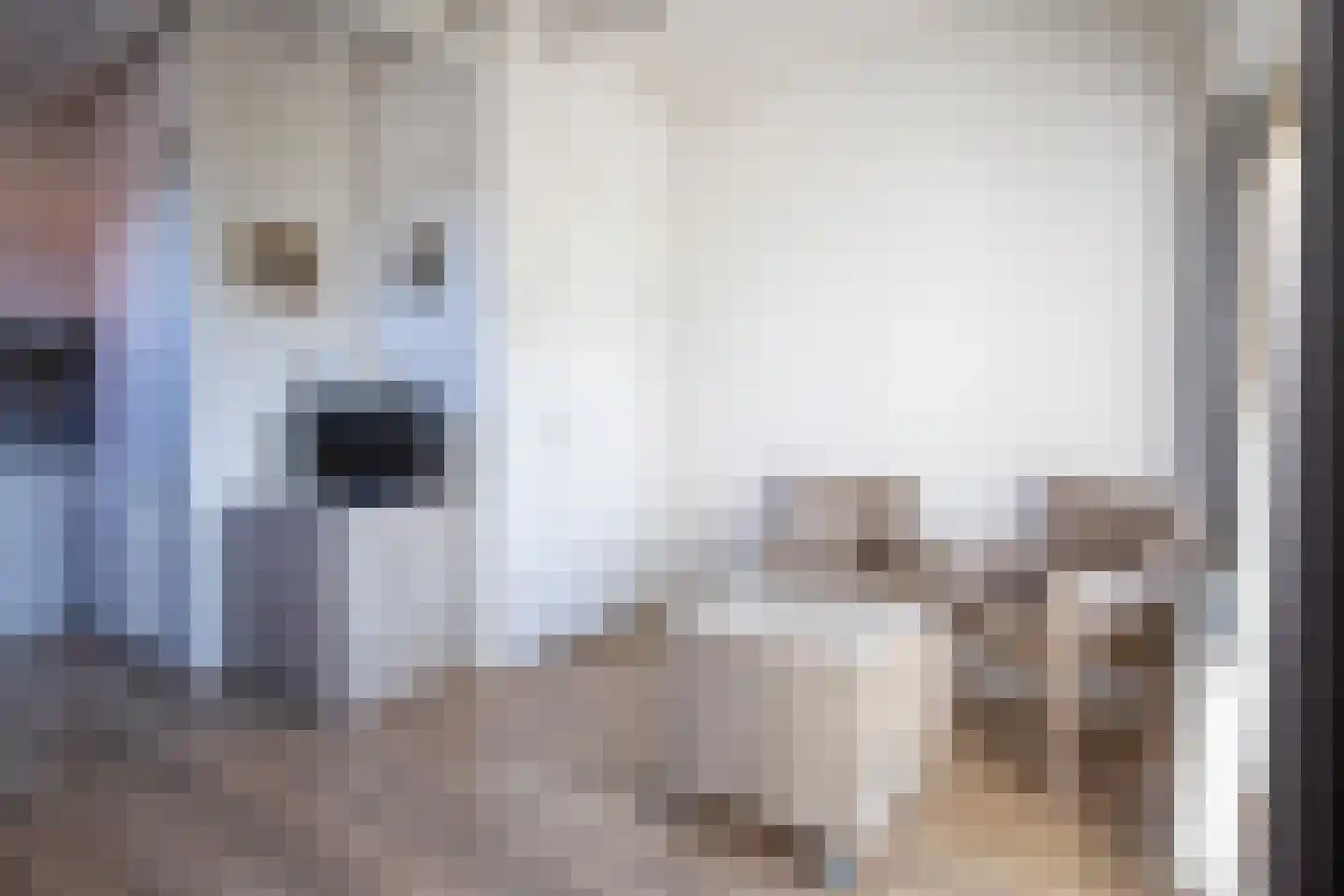 Dorpsstraat 327 De Koog thumbnail 8