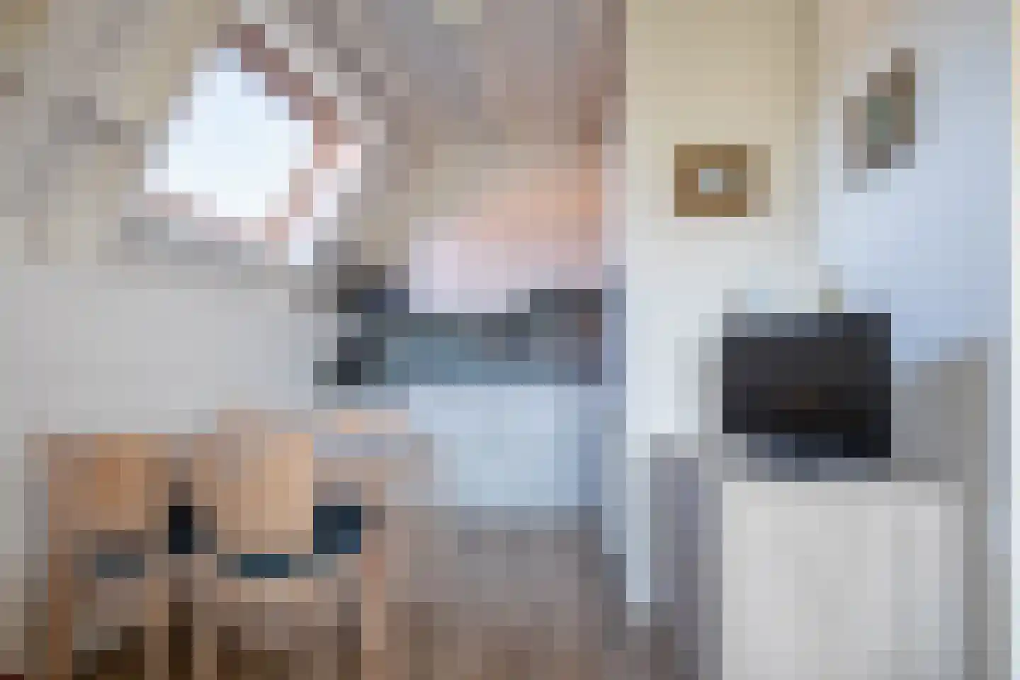 Dorpsstraat 327 De Koog thumbnail 9