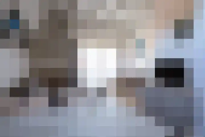Dorpsstraat 329 De Koog thumbnail 5