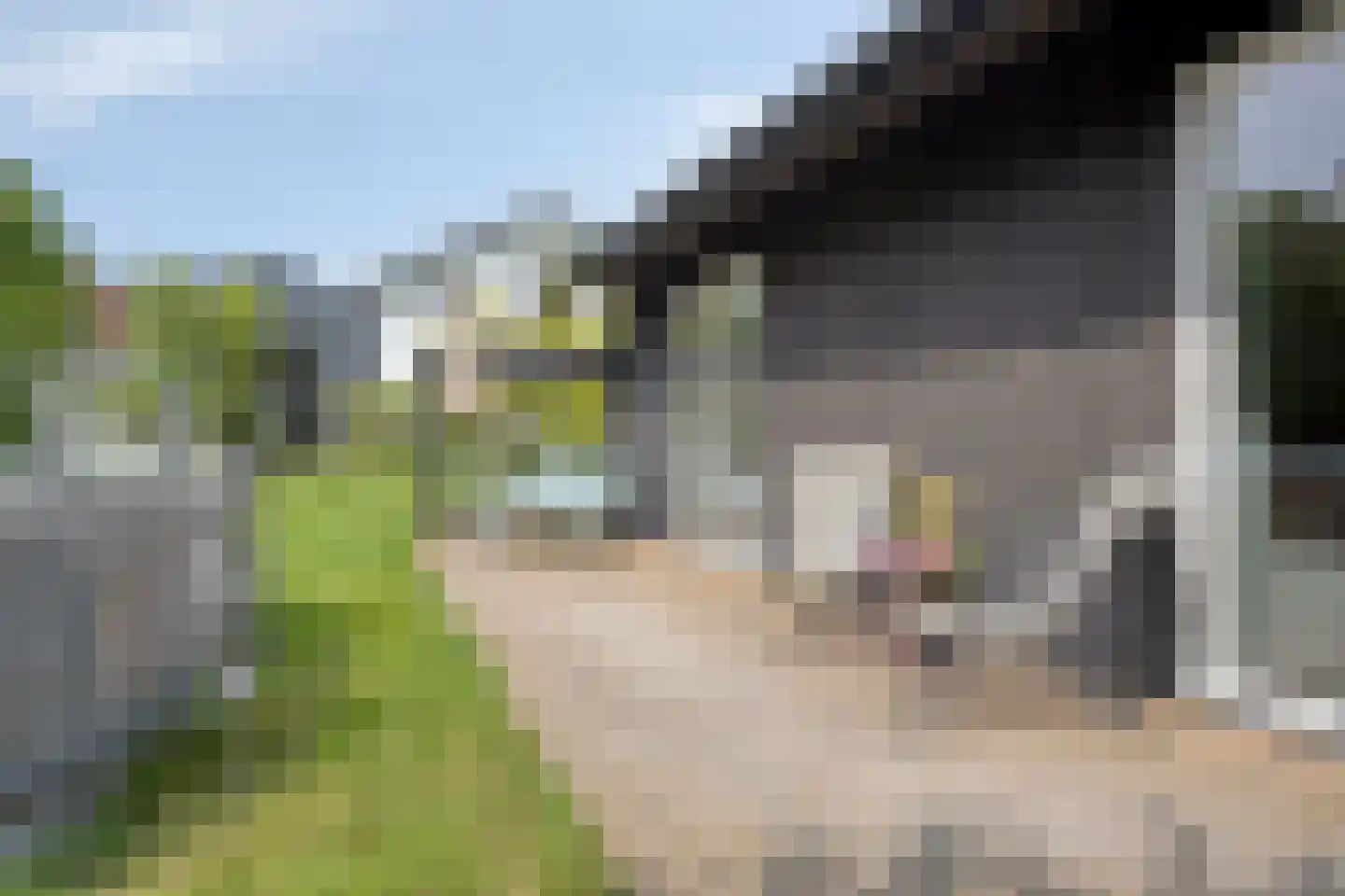 Dorpsstraat 33 A Zoeterwoude thumbnail 42