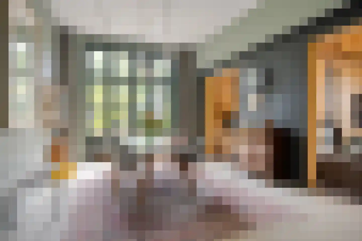Dorpsstraat 33 A Zoeterwoude thumbnail 5