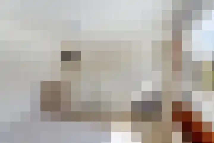 Dorpsstraat 33 Elim thumbnail 20
