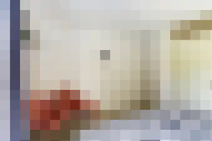 Dorpsstraat 33 Elim thumbnail 29