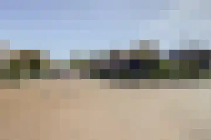 Dorpsstraat 33 Elim thumbnail 36