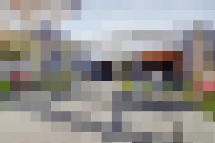 Dorpsstraat 33 Elim thumbnail 4