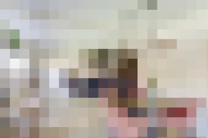 Dorpsstraat 33 Elim thumbnail 9