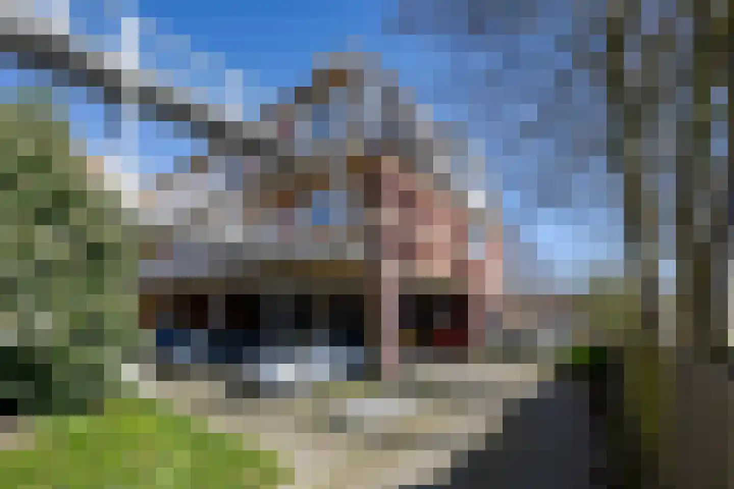 Dorpsstraat 33 s Leimuiden thumbnail 13