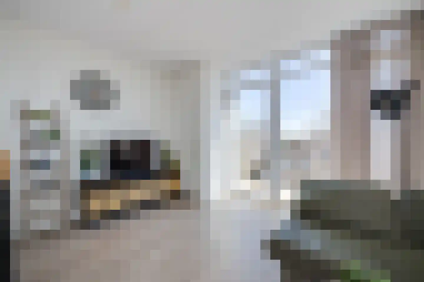 Dorpsstraat 33 s Leimuiden thumbnail 24