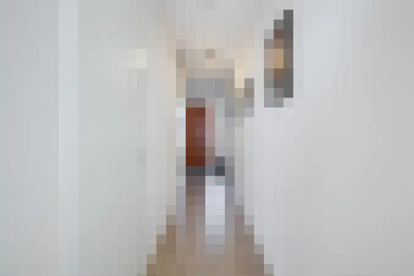 Dorpsstraat 33 s Leimuiden thumbnail 30