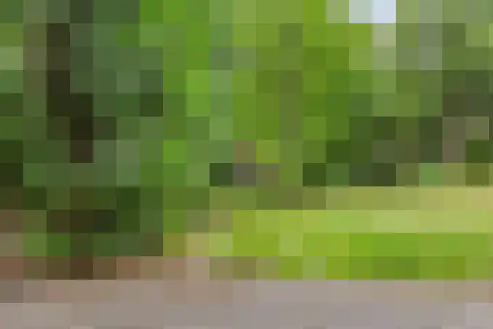 Dorpsstraat 33 Sellingen thumbnail 32