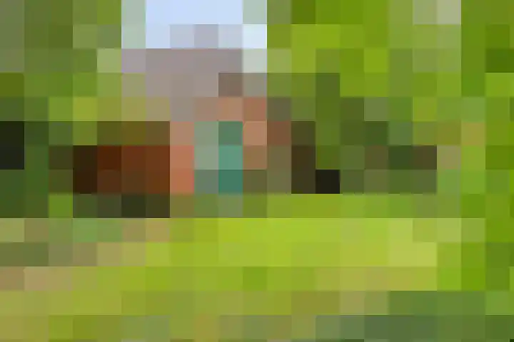 Dorpsstraat 33 Sellingen thumbnail 33