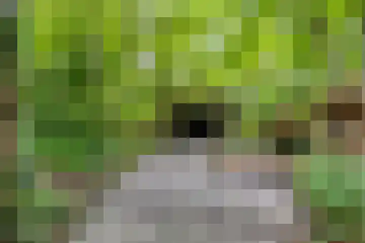 Dorpsstraat 33 Sellingen thumbnail 36
