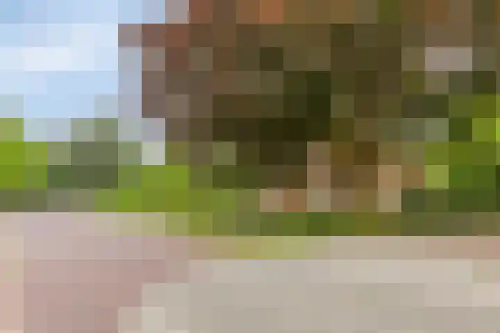 Dorpsstraat 33 Sellingen thumbnail 4
