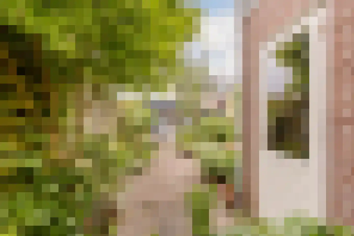 Dorpsstraat 33 Wormer thumbnail 12