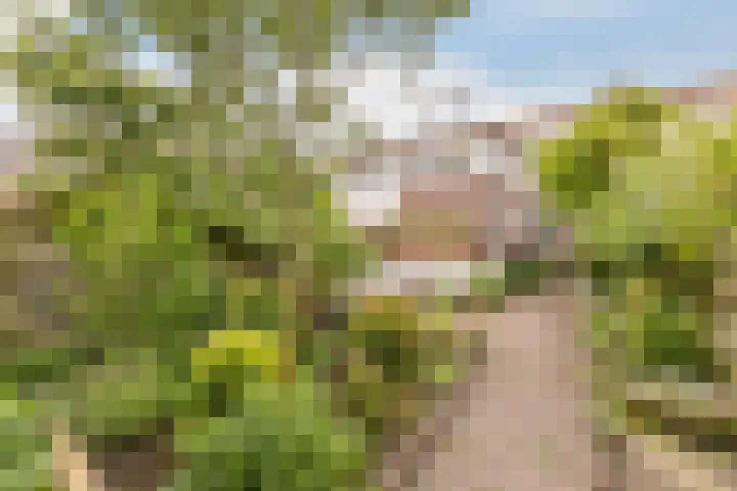 Dorpsstraat 33 Wormer thumbnail 16