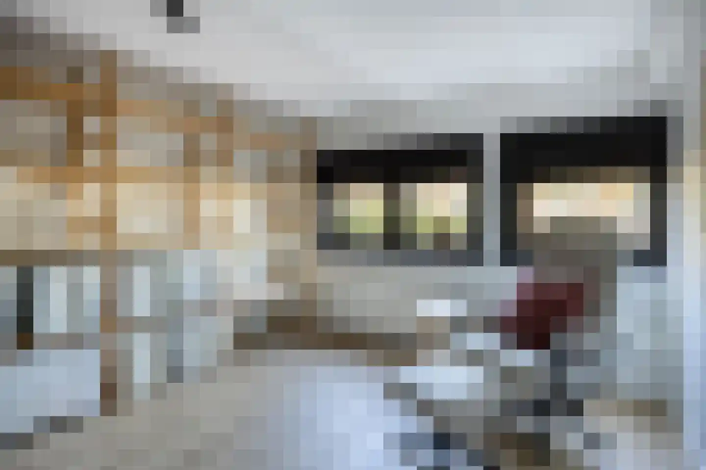 Dorpsstraat 33 Zwolle thumbnail 12