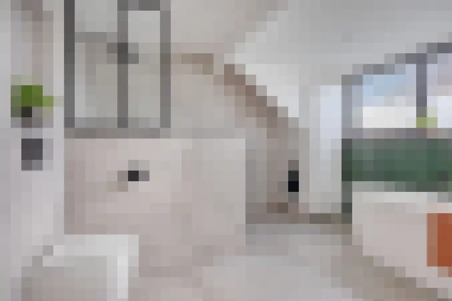 Dorpsstraat 33 Zwolle thumbnail 34