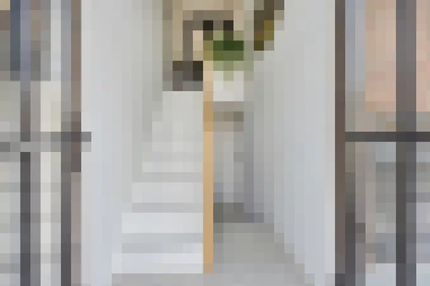 Dorpsstraat 33 Zwolle thumbnail 4
