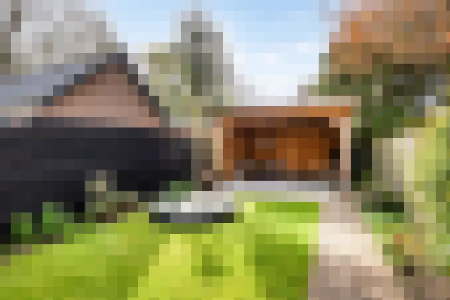 Dorpsstraat 33 Zwolle thumbnail 42