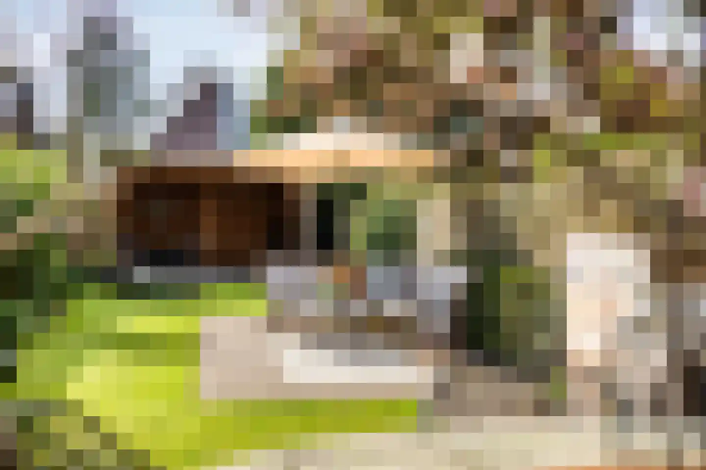 Dorpsstraat 33 Zwolle thumbnail 47