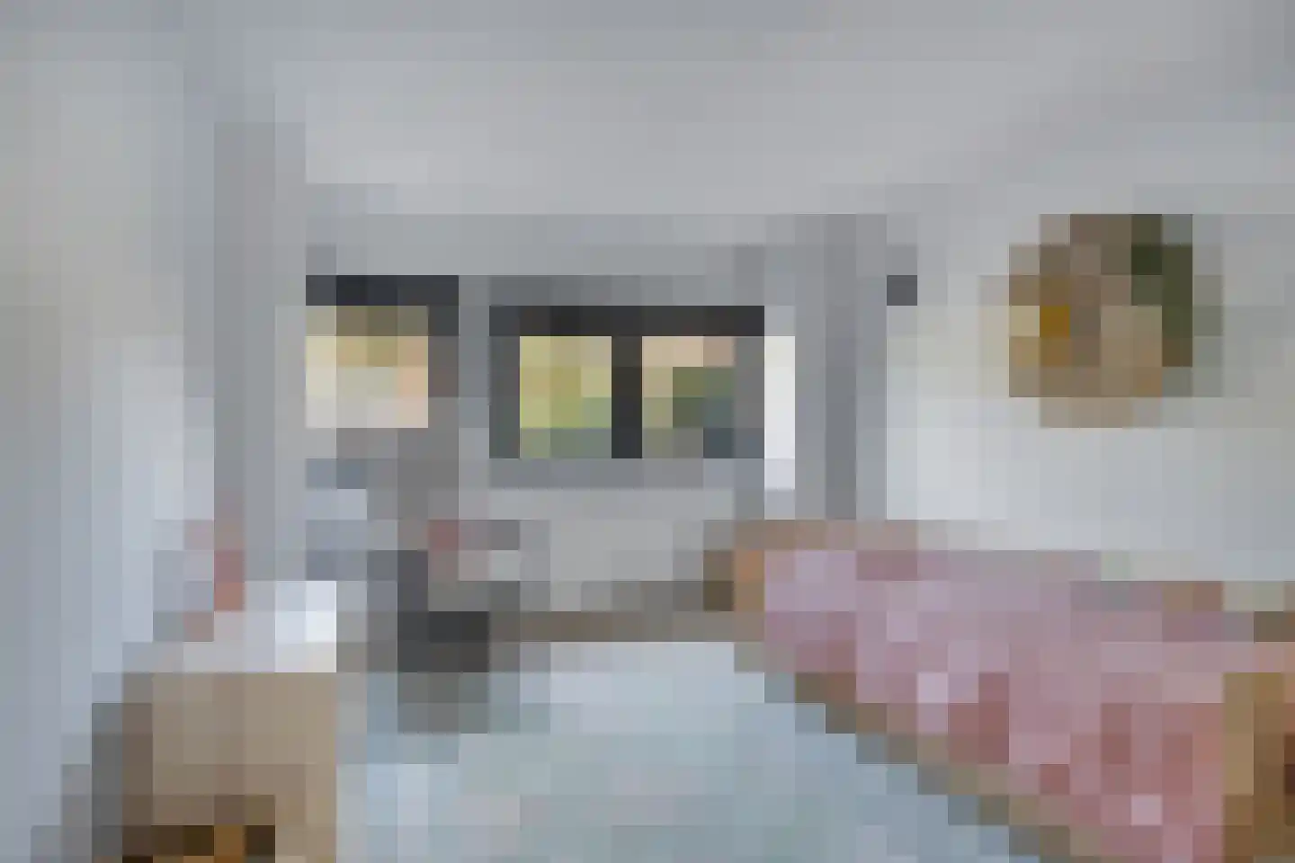 Dorpsstraat 33 Zwolle thumbnail 9