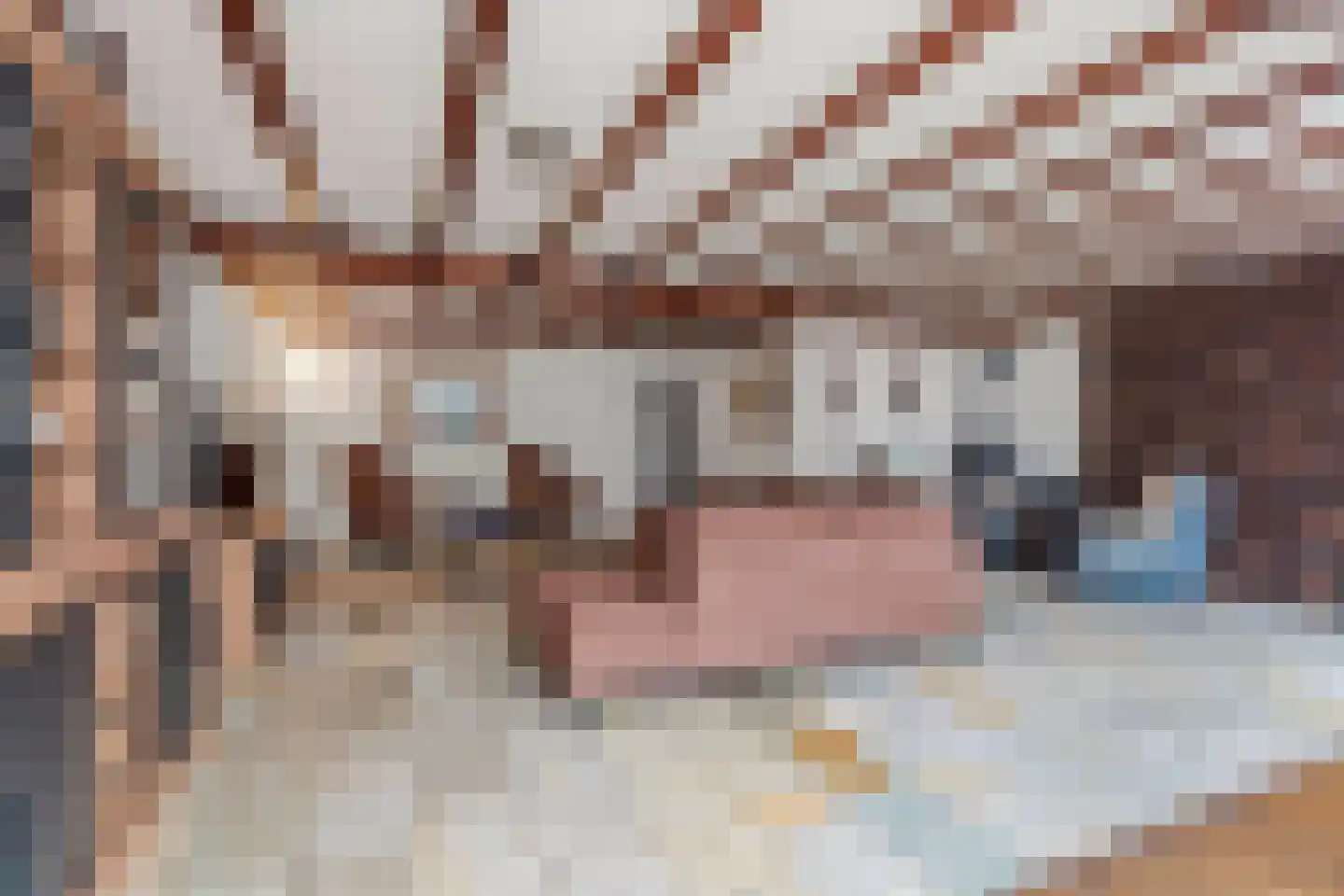 Dorpsstraat 34 Afferden L thumbnail 13