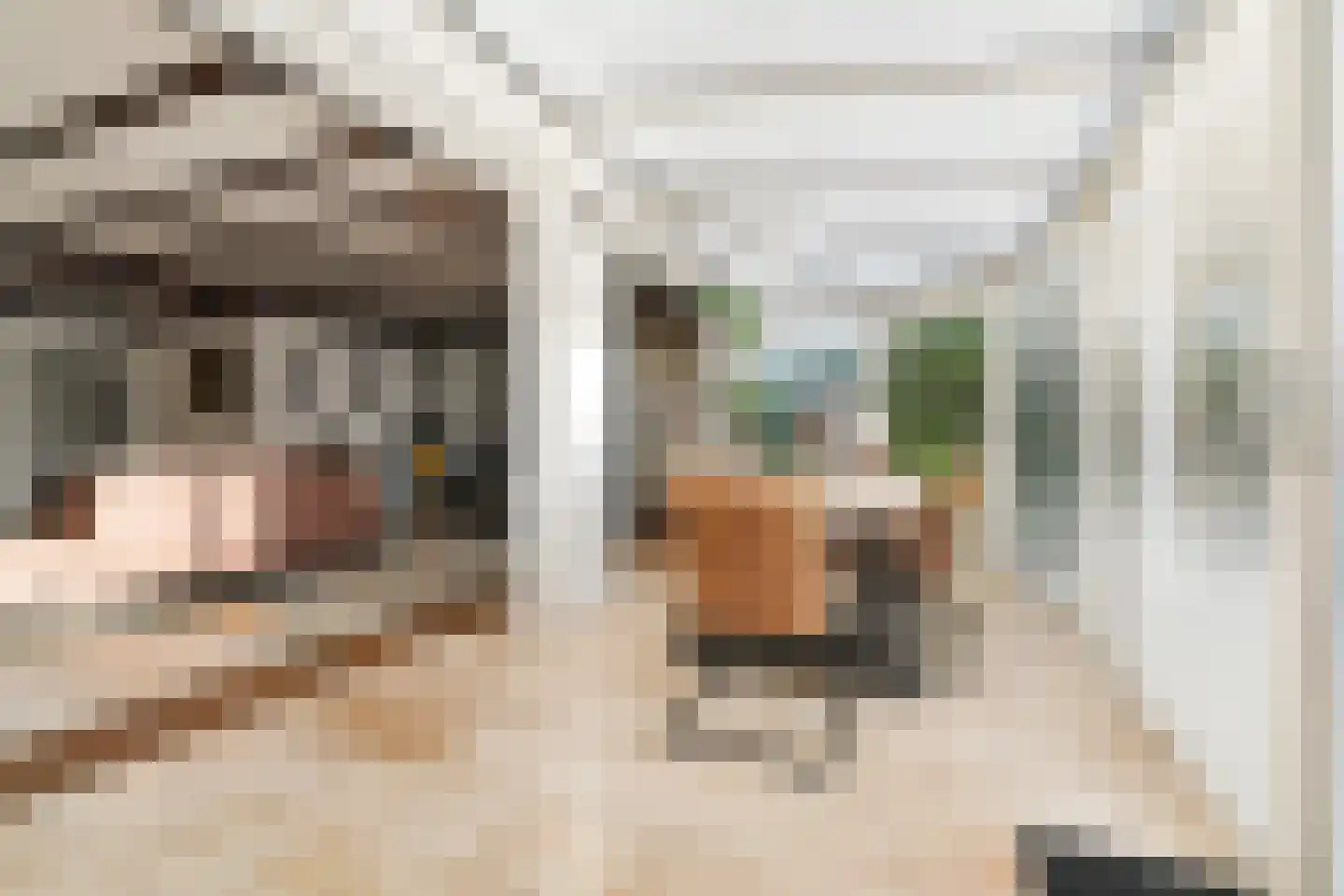 Dorpsstraat 34 Afferden L thumbnail 13