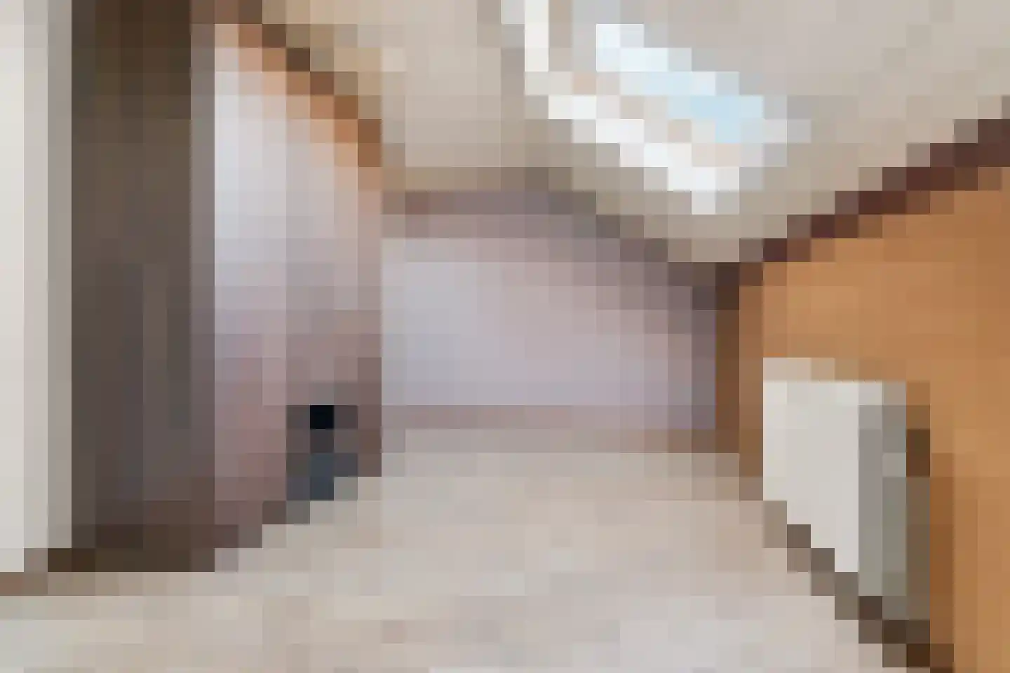 Dorpsstraat 34 Afferden L thumbnail 20