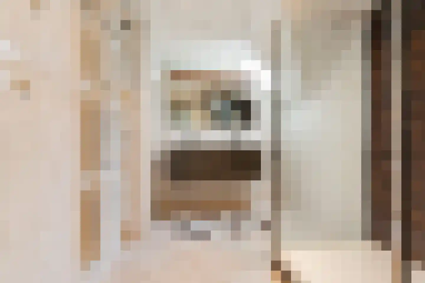 Dorpsstraat 34 Afferden L thumbnail 25