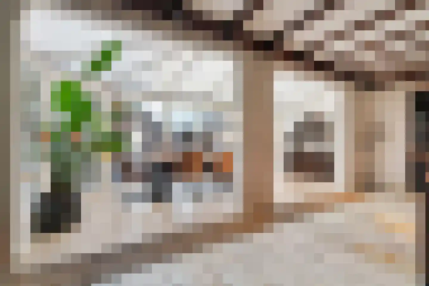Dorpsstraat 34 Afferden L thumbnail 4