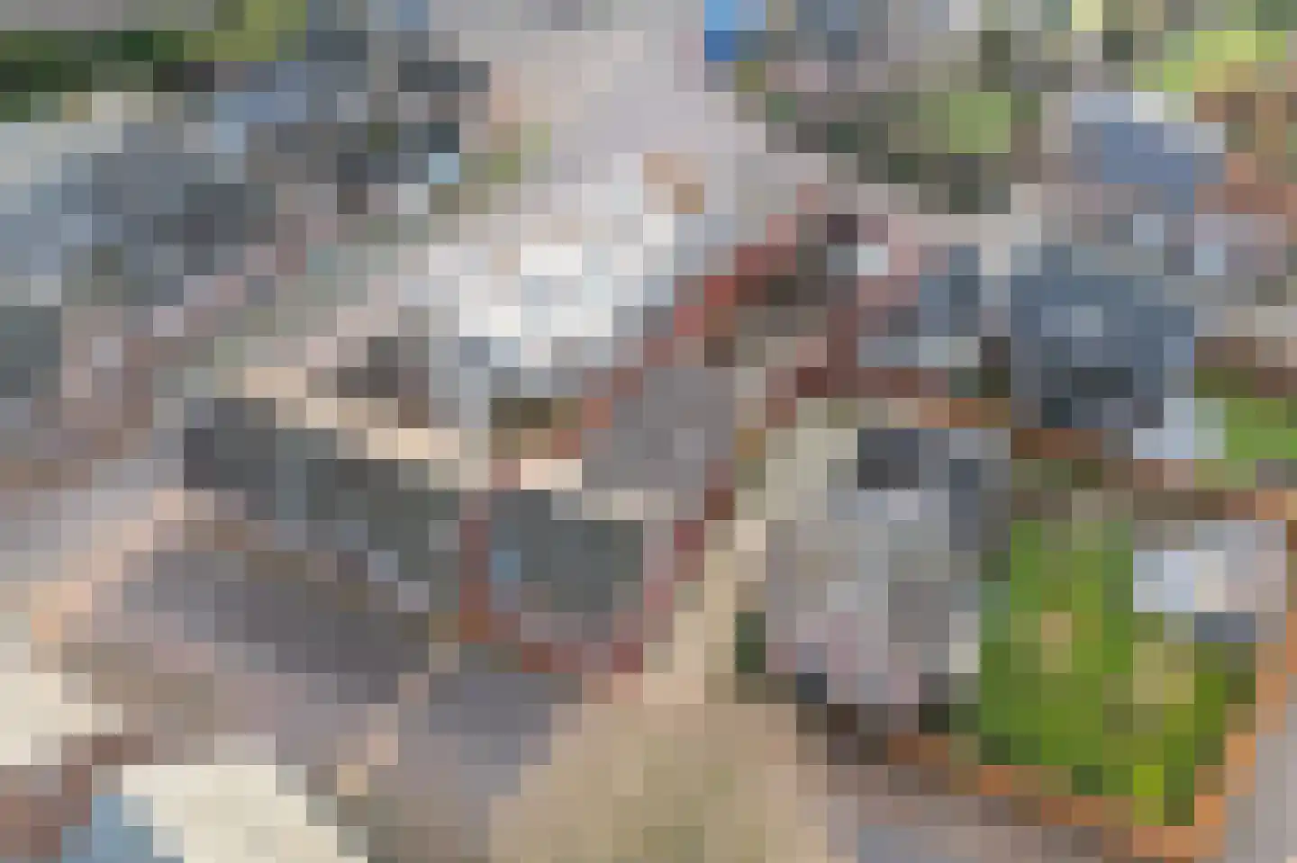 Dorpsstraat 34 Afferden L thumbnail 6